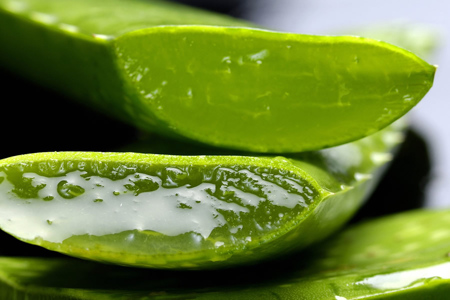 Get your glow on with Aloe – the “Wonder Plant”, its amazing benefits, unknown facts and more!